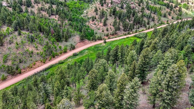 626 Little Topsey Dr, Cripple Creek, CO 80813 - photo 20