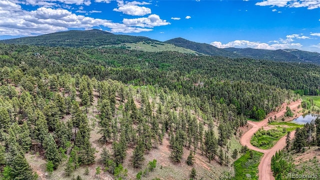 626 Little Topsey Dr, Cripple Creek, CO 80813 - photo 21