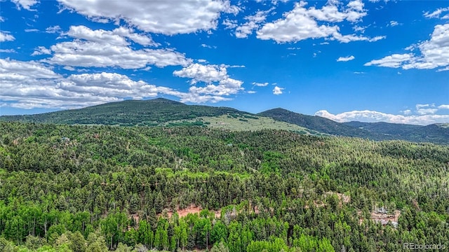 626 Little Topsey Dr, Cripple Creek, CO 80813 - photo 24