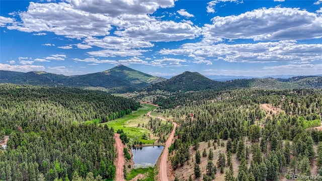 626 Little Topsey Dr, Cripple Creek, CO 80813 - photo 25