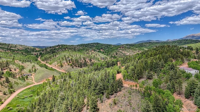 626 Little Topsey Dr, Cripple Creek, CO 80813 - photo 26