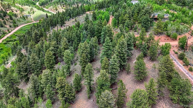 626 Little Topsey Dr, Cripple Creek, CO 80813 - photo 27