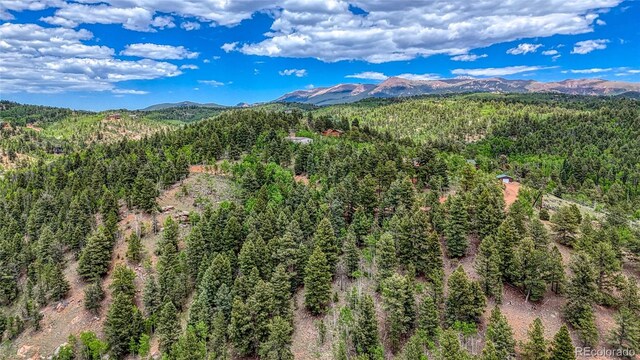626 Little Topsey Dr, Cripple Creek, CO 80813 - photo 28