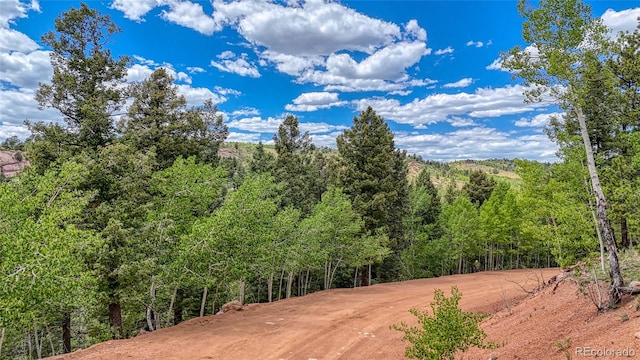 626 Little Topsey Dr, Cripple Creek, CO 80813 - photo 29