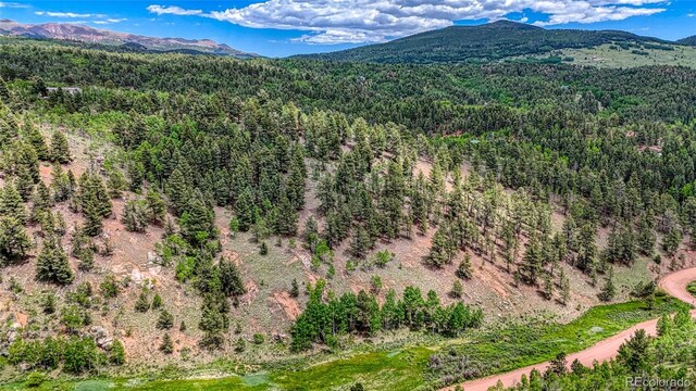626 Little Topsey Dr, Cripple Creek, CO 80813 - photo 1