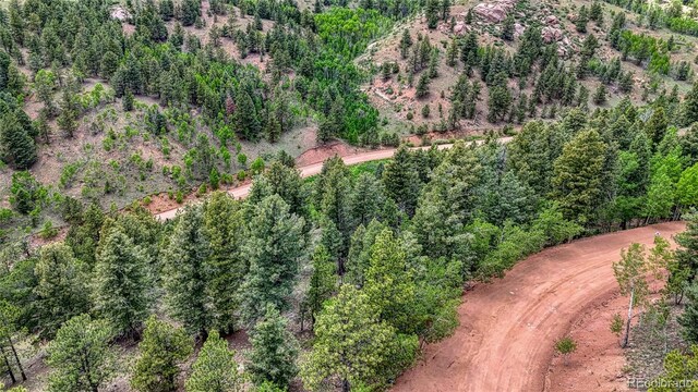 626 Little Topsey Dr, Cripple Creek, CO 80813 - photo 2