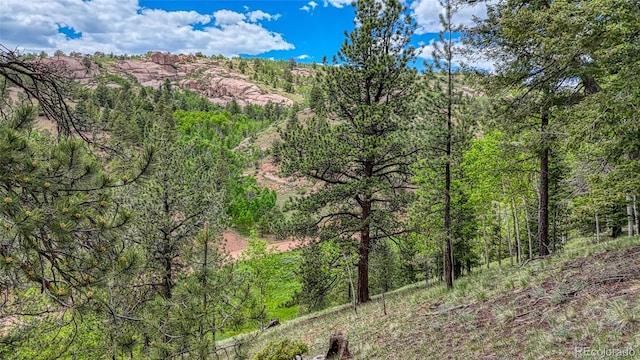 626 Little Topsey Dr, Cripple Creek, CO 80813 - photo 3
