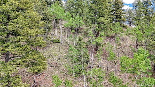 626 Little Topsey Dr, Cripple Creek, CO 80813 - photo 4