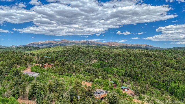 626 Little Topsey Dr, Cripple Creek, CO 80813 - photo 5