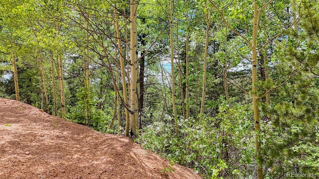 626 Little Topsey Dr, Cripple Creek, CO 80813 - photo 6
