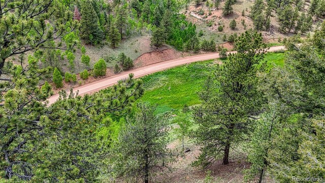 626 Little Topsey Dr, Cripple Creek, CO 80813 - photo 7