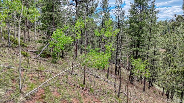 626 Little Topsey Dr, Cripple Creek, CO 80813 - photo 8