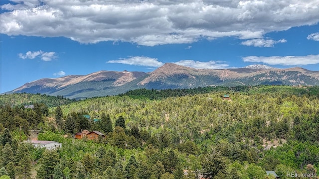 626 Little Topsey Dr, Cripple Creek, CO 80813 - photo 12