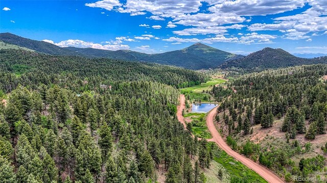 626 Little Topsey Dr, Cripple Creek, CO 80813 - photo 13