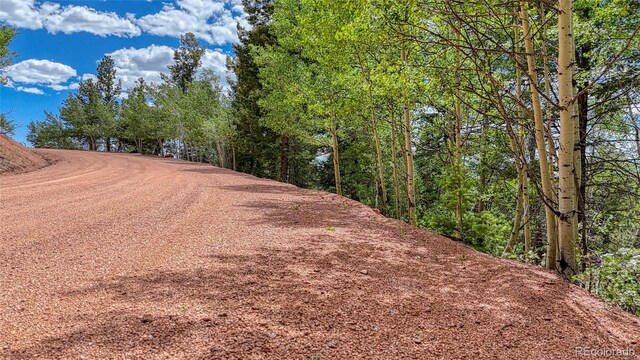 626 Little Topsey Dr, Cripple Creek, CO 80813 - photo 15