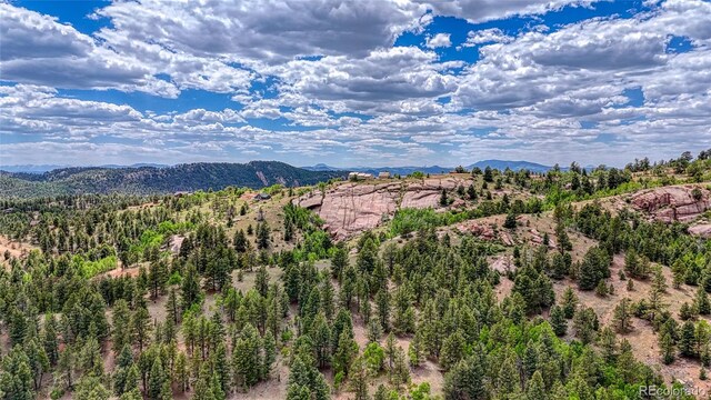 626 Little Topsey Dr, Cripple Creek, CO 80813 - photo 18
