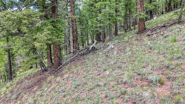 626 Little Topsey Dr, Cripple Creek, CO 80813 - photo 19