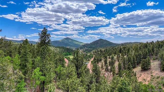 626 Little Topsey Dr, Cripple Creek, CO 80813 - photo 23