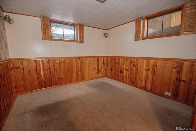 basement featuring wood walls and light colored carpet