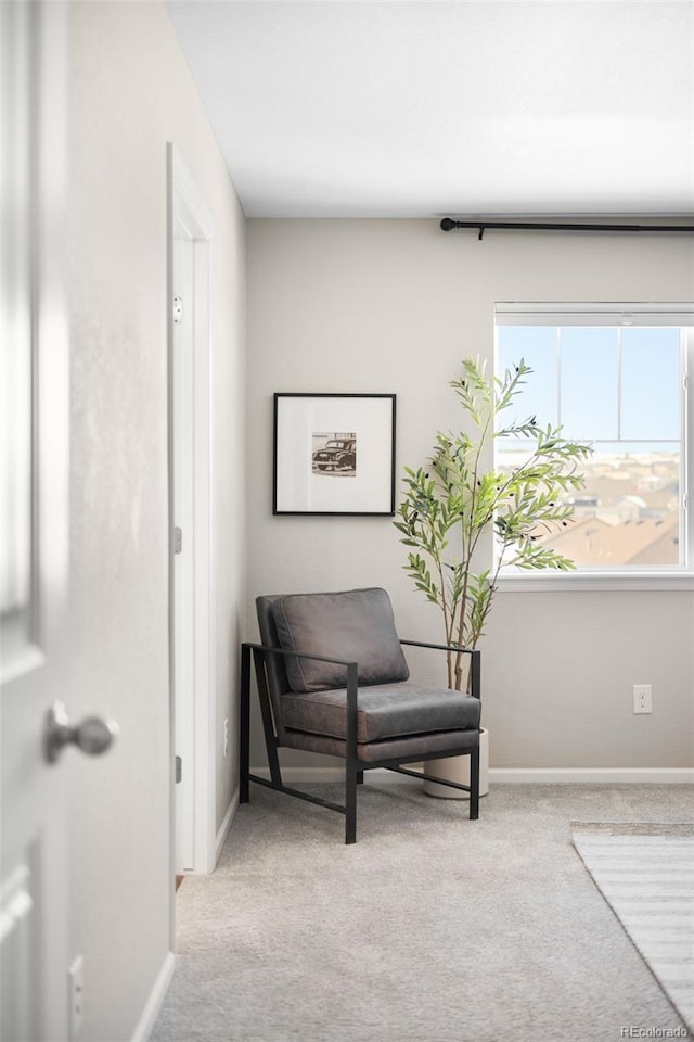 sitting room with light carpet