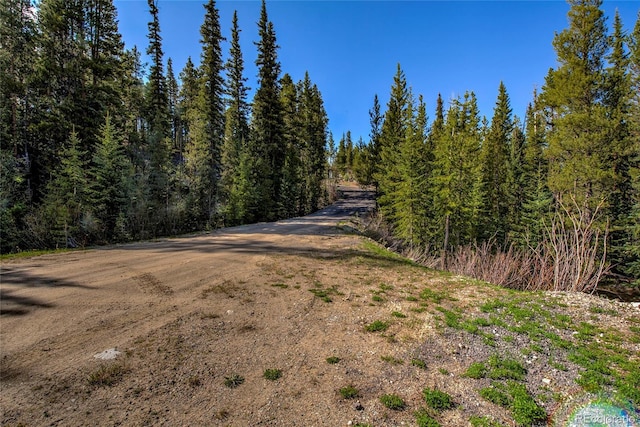 163 Lakeview Dr, Breckenridge, CO 80424