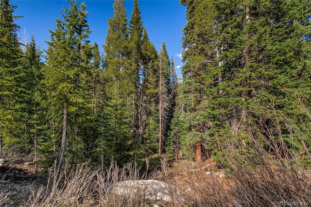 163 Lakeview Dr, Breckenridge, CO 80424