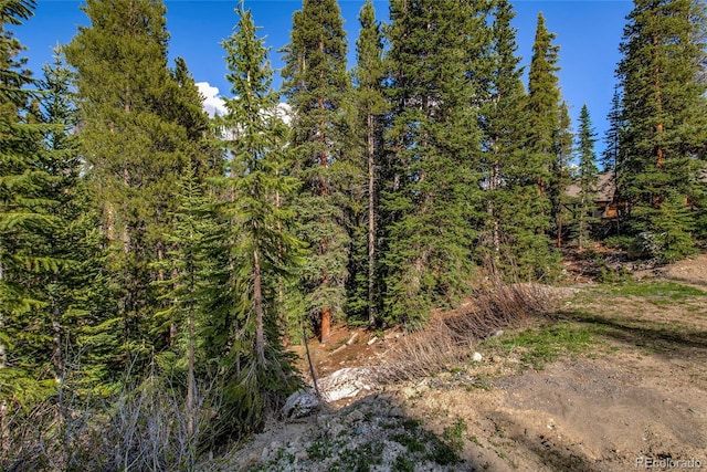 163 Lakeview Dr, Breckenridge, CO 80424