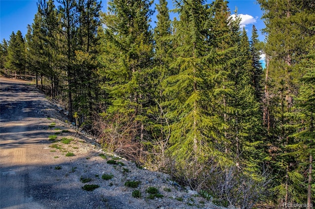 163 Lakeview Dr, Breckenridge, CO 80424