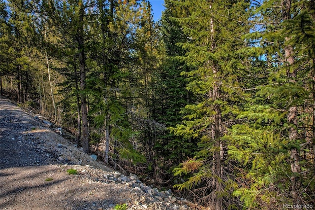 163 Lakeview Dr, Breckenridge, CO 80424