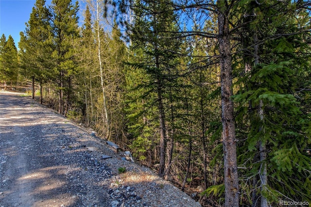 163 Lakeview Dr, Breckenridge, CO 80424