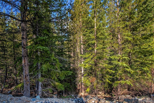 163 Lakeview Dr, Breckenridge, CO 80424