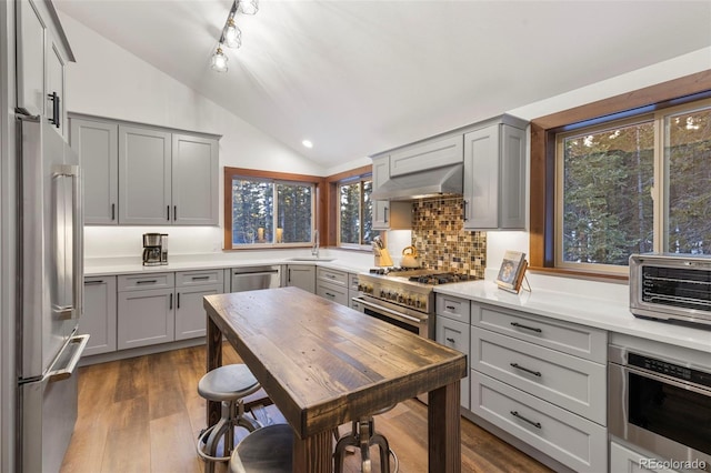 kitchen with lofted ceiling, a sink, exhaust hood, gray cabinets, and high end appliances