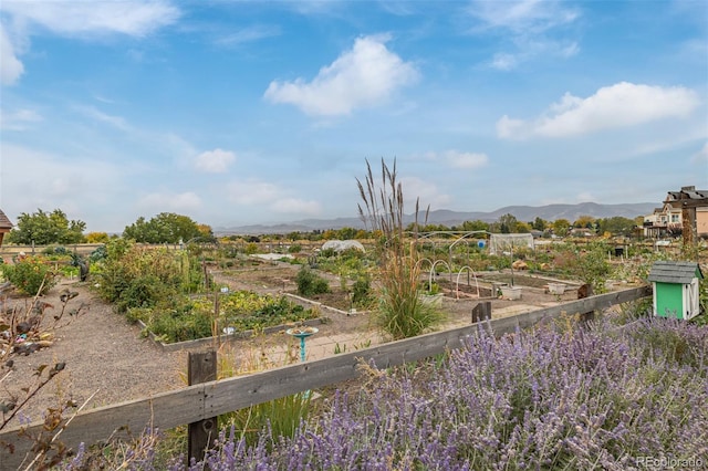 view of yard featuring a mountain view