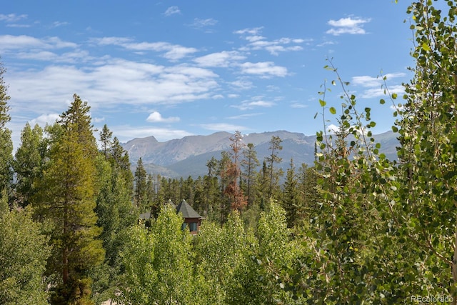 378 Lake Trl, Winter Park, CO 80482 - photo 3