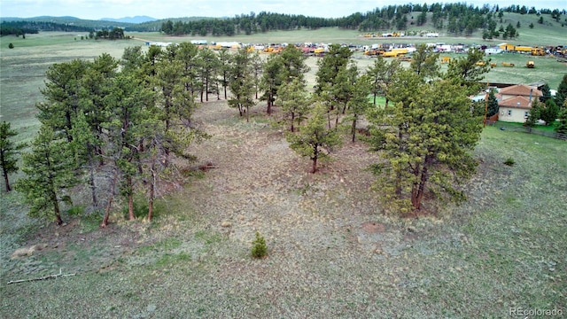 13599 County Rd 1, Florissant, CO 80816 - photo 6