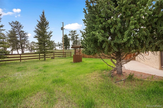 13599 County Rd 1, Florissant, CO 80816 - photo 22