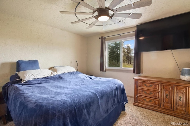 13599 County Rd 1, Florissant, CO 80816 - photo 23
