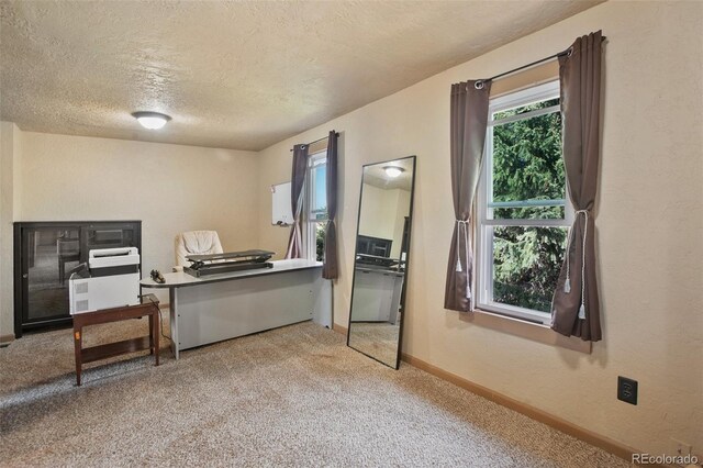 13599 County Rd 1, Florissant, CO 80816 - photo 24