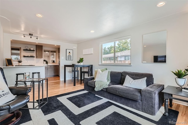 living room with light hardwood / wood-style flooring