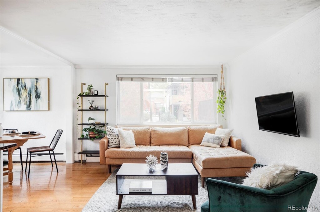 living room with wood-type flooring, a baseboard radiator, and crown molding