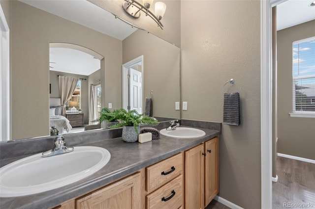 bathroom with hardwood / wood-style flooring and vanity