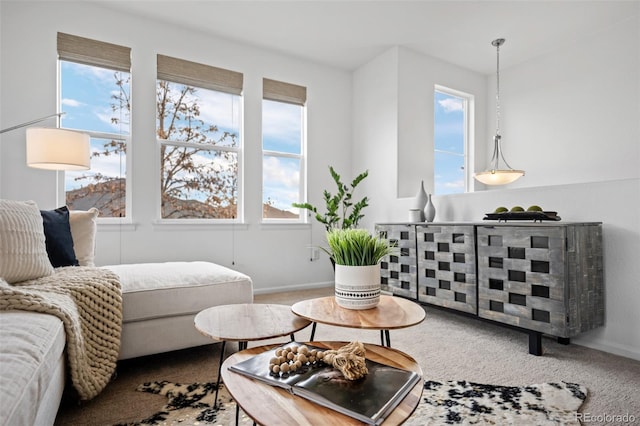 living room featuring carpet