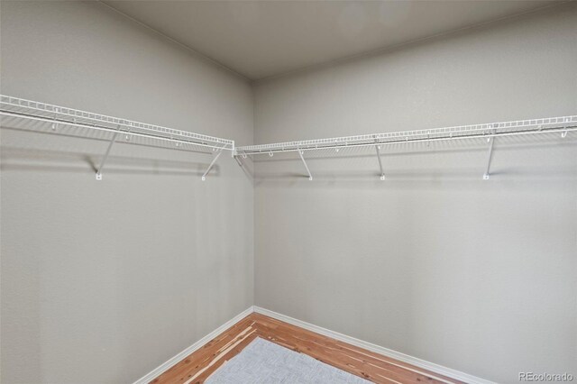 7288 Sylamore Way, Peyton, CO 80831 - photo 23
