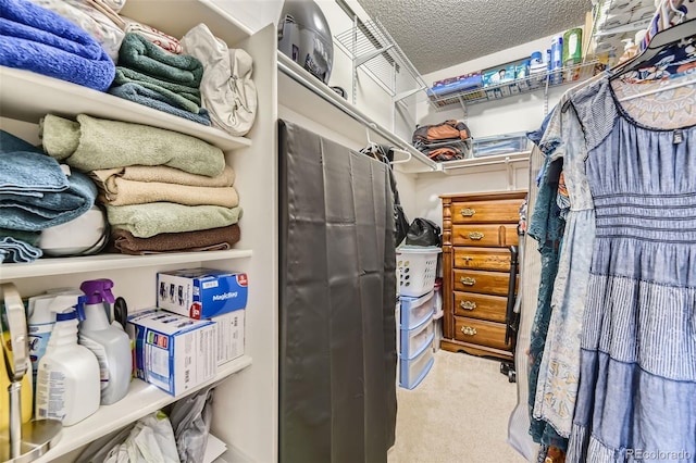 spacious closet with carpet flooring