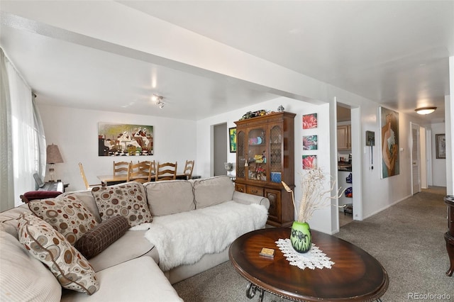 1512 E Monument St, Colorado Springs, CO 80909 - view of carpeted living room