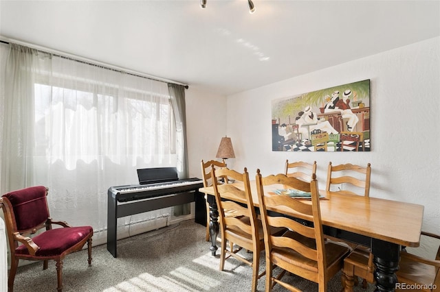 1512 E Monument St, Colorado Springs, CO 80909 - view of carpeted dining space