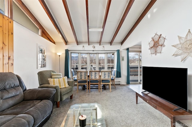 1512 E Monument St, Colorado Springs, CO 80909 - living area with carpet floors