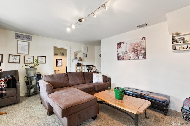 1512 E Monument St, Colorado Springs, CO 80909 - carpeted living area with rail lighting