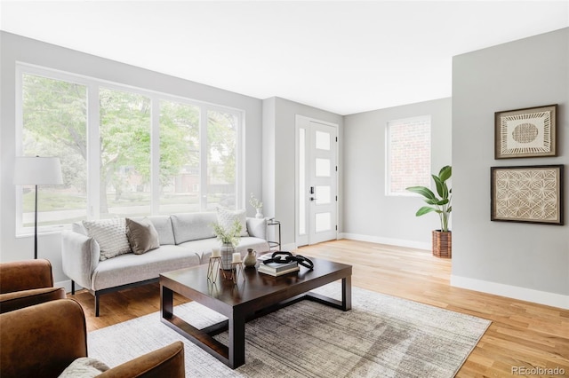 1541 Glencoe St, Denver, CO 80220 - living area with wood finished floors and baseboards