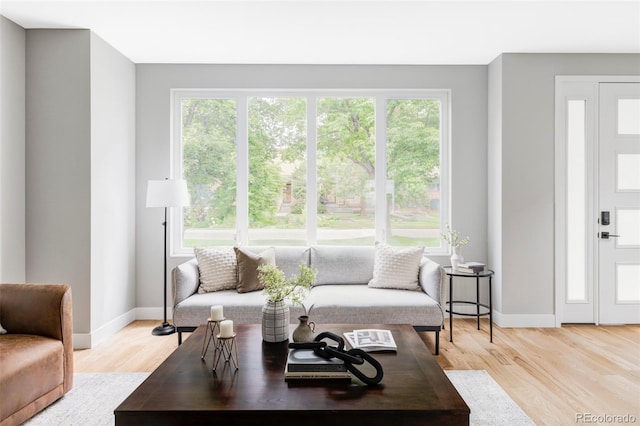 1541 Glencoe St, Denver, CO 80220 - living area with healthy amount of natural light, light wood-type flooring, and baseboards